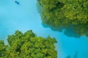 好，用户让我写一篇关于夏天生龙宝宝取名的文章，标题是夏天的龙宝宝，取名灵感与意义。首先，我需要确定文章的结构，可能分为几个部分，引言、龙宝宝的象征意义、夏天的元素、取名灵感、名字的意义和总结
