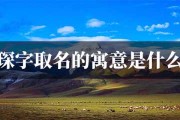 猴宝宝取名，用琛字起名的智慧与艺术