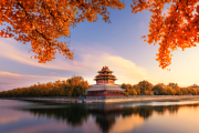 八字测算第一人，他是古董还是未来学家？