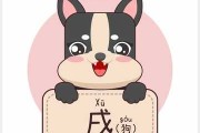 生肖狗在癸卯年运势解析，机遇与并存