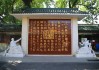 文化传承中的诗词取名，龙宝宝名字的诗意与传承