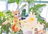 十二星座的杏色是什么