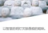 山间看见野佛，解读周公解的自然智慧