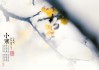 小寒节气，出行吉时