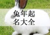 兔子宝宝名字黄字取名技巧，让小兔子更可爱