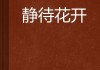 静待良辰，花开有期