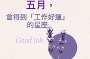 吉凶查询，解析的神秘力量