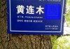 木宝宝取名，传统与现代的结合之道
