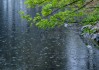 雨霆有aus，龙宝宝取名背后的深意