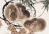 好，用户让我写一篇关于生肖鼠5月底运势的文章，首先我需要确定文章的标题。考虑到生肖鼠和5月底，标题要简洁有力，所以生肖鼠5月底运势，事业与健康的关键时刻挺合适