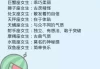 生肖色星座运势，如何根据星座选择适合自己的色