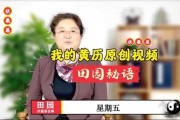 2020年2月黄历吉时，运势解析与生活建议
