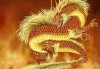 运势查询，辰龙属相的运势解析与建议