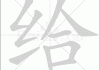 给狗宝宝取名注意什么