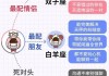十二星座当什么最配
