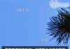 今天哪个时间是吉时挂灯笼好？传统习俗与现代选择