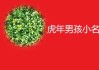 虎年宝宝取名有什么好