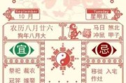 一周生肖运势查询表，运势解析与建议