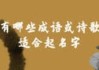 虎宝宝取名，苏姓宝宝起名指南