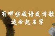 虎宝宝取名，苏姓宝宝起名指南