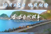 ，为什么它如此神奇且独特？