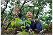 解梦梦到抓兔子，解读与启示