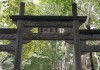 月老祠求签花，传统与现代的对话