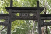 月老祠求签花，传统与现代的对话