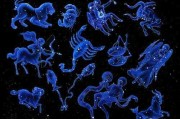 十二星座与它们的星星图片