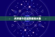 今日天秤座解析，平衡与交流的艺术