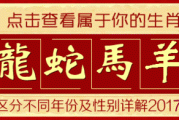 甲辰流年生肖鸡运势详解，机遇与并存，智慧引领前行