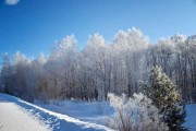 雪天虎宝宝乳名怎么取名？这些创意乳名让你宝宝可爱又独特！