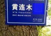 木宝宝取名，传统与现代的结合之道
