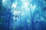 神秘的元神求签无人，未解之谜与传说
