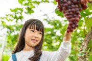 葡萄宝宝取名，让名字充满爱与故事