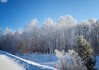 雪天虎宝宝乳名怎么取名？这些创意乳名让你宝宝可爱又独特！