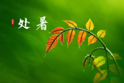 处暑节气生肖运势解析，如何在金秋时节运筹帷幄