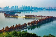 东湖店开业大吉时间表查询指南