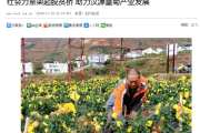 2018年吉时查询栽培，农业专家的建议