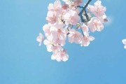 岁月静好，时光正好，17年6月剖腹产的意义