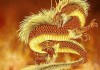 运势查询，辰龙属相的运势解析与建议