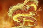 运势查询，辰龙属相的运势解析与建议