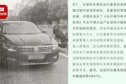 意外撞狗，赔偿协议该如何走？