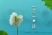 1月20日，一场与命运的对话