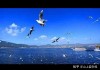好，用户让我写一篇关于昆明哪里能求签子的文章，先写标题，再写内容，内容不少于840字。首先，我需要明确用户的需求。他们可能是在昆明旅游或者寻找某种服务，想了解哪里能找到求签子的地方