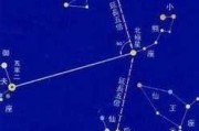 紫薇星与八字测算，解析命理学中的神秘星辰