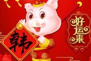属猪的朋友，今日来啦！