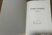 你的爱像中的山