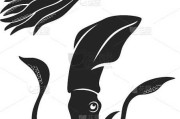 梦见鱿鱼缠脚，预兆与解梦解析