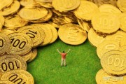 钱 便 之 金 树 放 何 位 风 水 佳